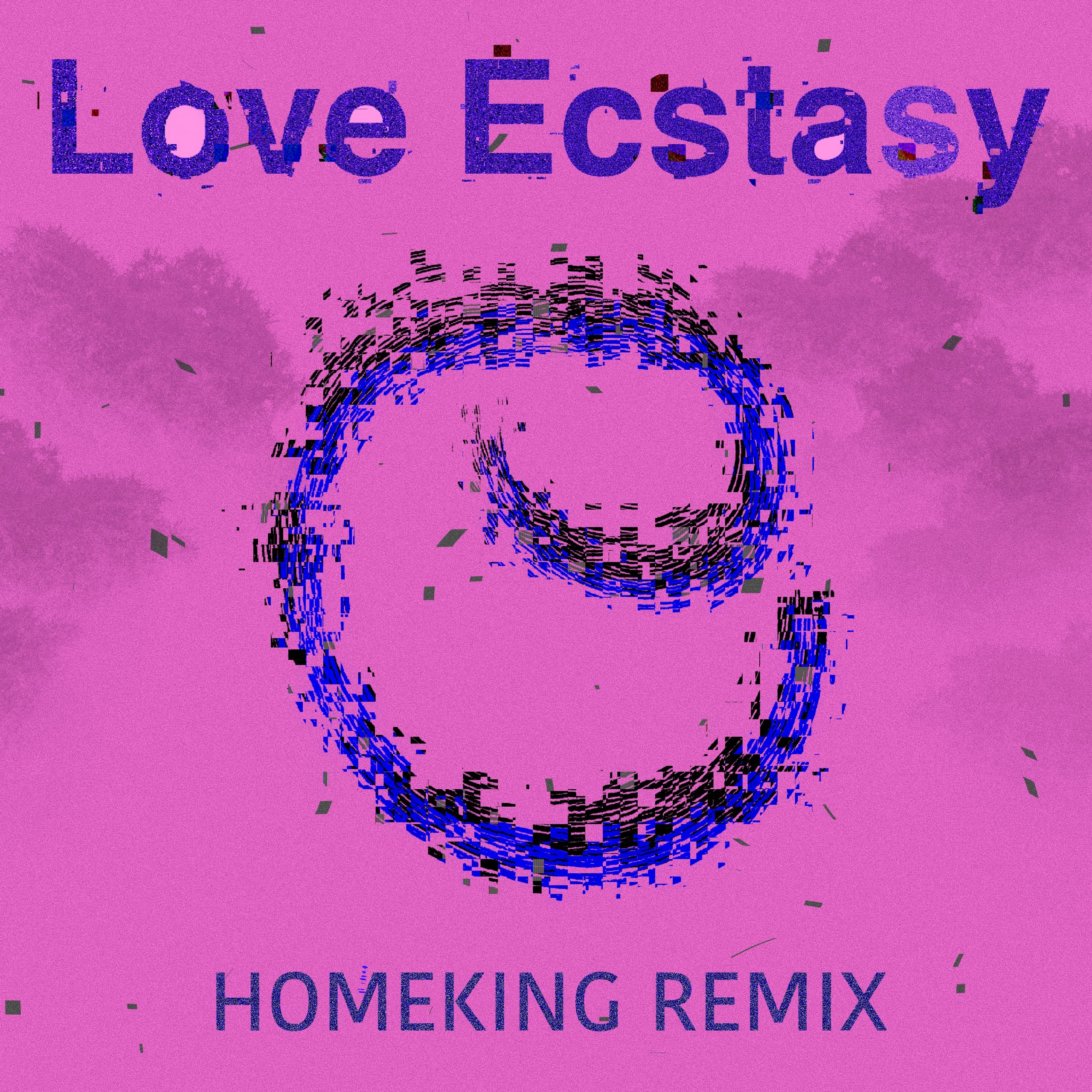 Love Ecstasy